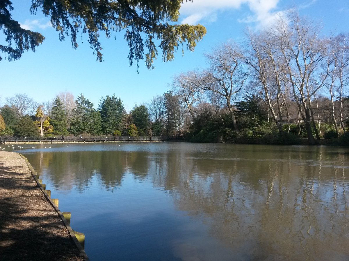DrSarahPayne's tweet photo. Got to love pre spring days like this on campus @HeriotWattUni to clear the head before teaching #RestorativeEnvironments https://t.co/EB0ubUaDQP