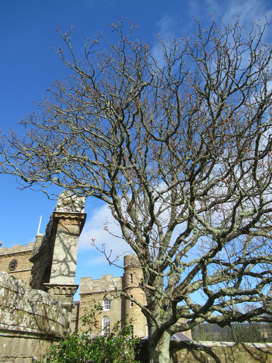 Culzean Castle Country Park Fan On Twitter