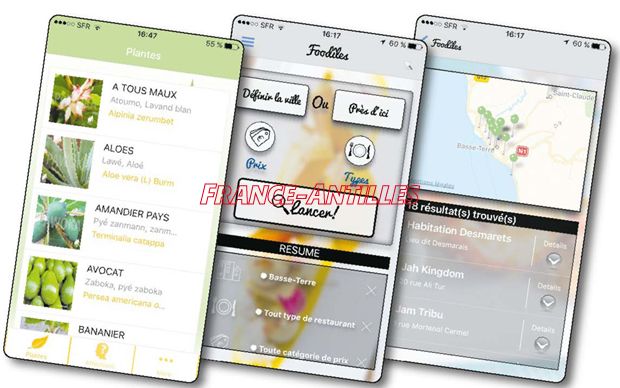 Des « appli » couleur locale ow.ly/rASy309JVCR #Economie #Guadeloupe