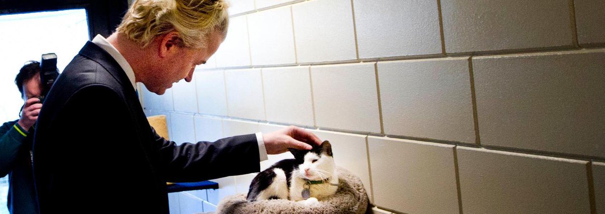 volkskrant's tweet photo. Wilders gooit poezen in de strijd.
Lees hier meer over in ons Verkiezingsblog:  

https://t.co/6C1SbznqmX https://t.co/JrYCYTOvBv