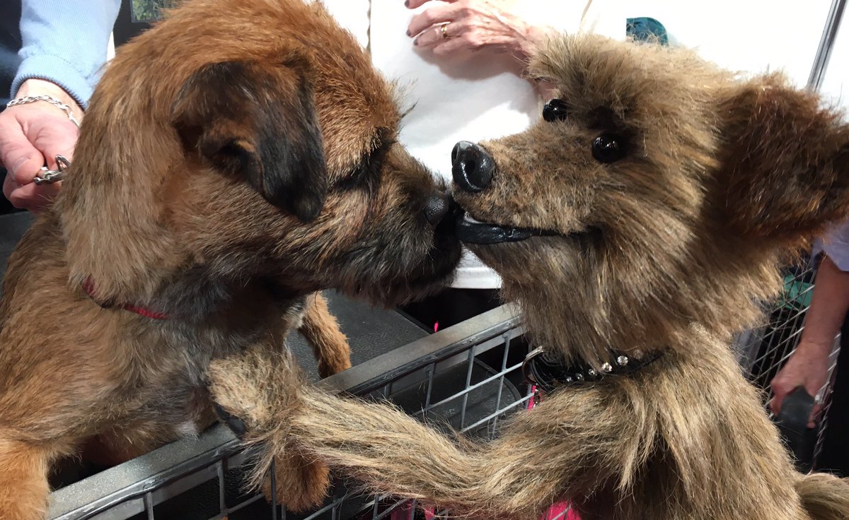 HackerTDog's tweet photo. Sorry to...
Susan Barker,
@GabbyLogan,
@carolkirkwood,
@DeborahMeaden,
@ZoeTheBall,
I've got a new girlfriend cockers...
#ThursdayThoughts https://t.co/bIXW4oVzwL