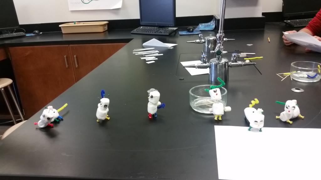roxystratton1's tweet photo. ESOL BIOLOGY at Annapolis High @aacpsawesome https://t.co/ySoP3RysKC