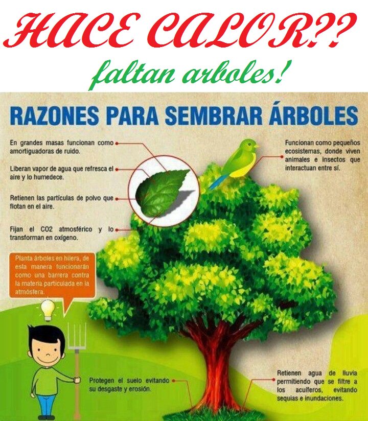 MAURO SALINAS tweet media