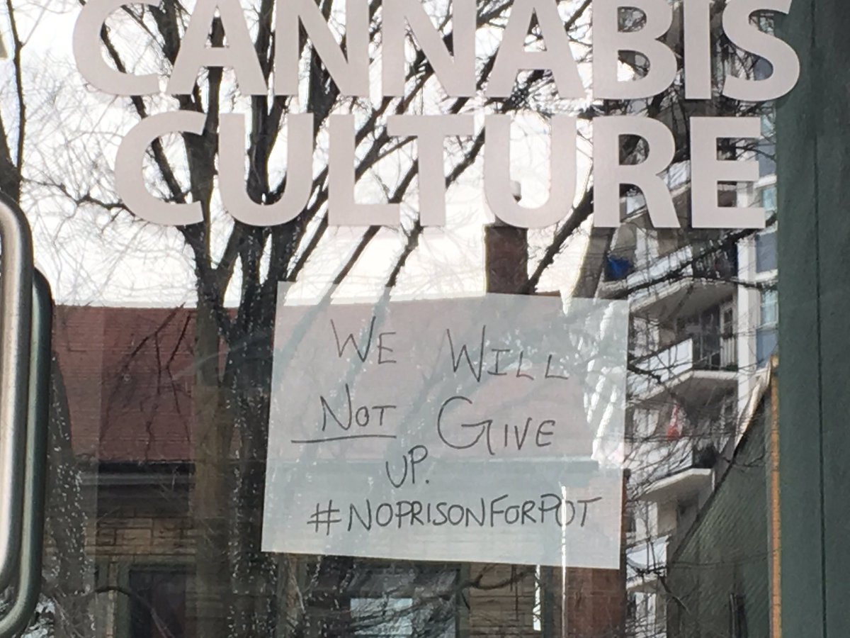 MaryamSun1's tweet photo. Message on front door of Church and Maitland Sts Cannabis Culture store: "We will not give up" https://t.co/dXuk2OnyEp