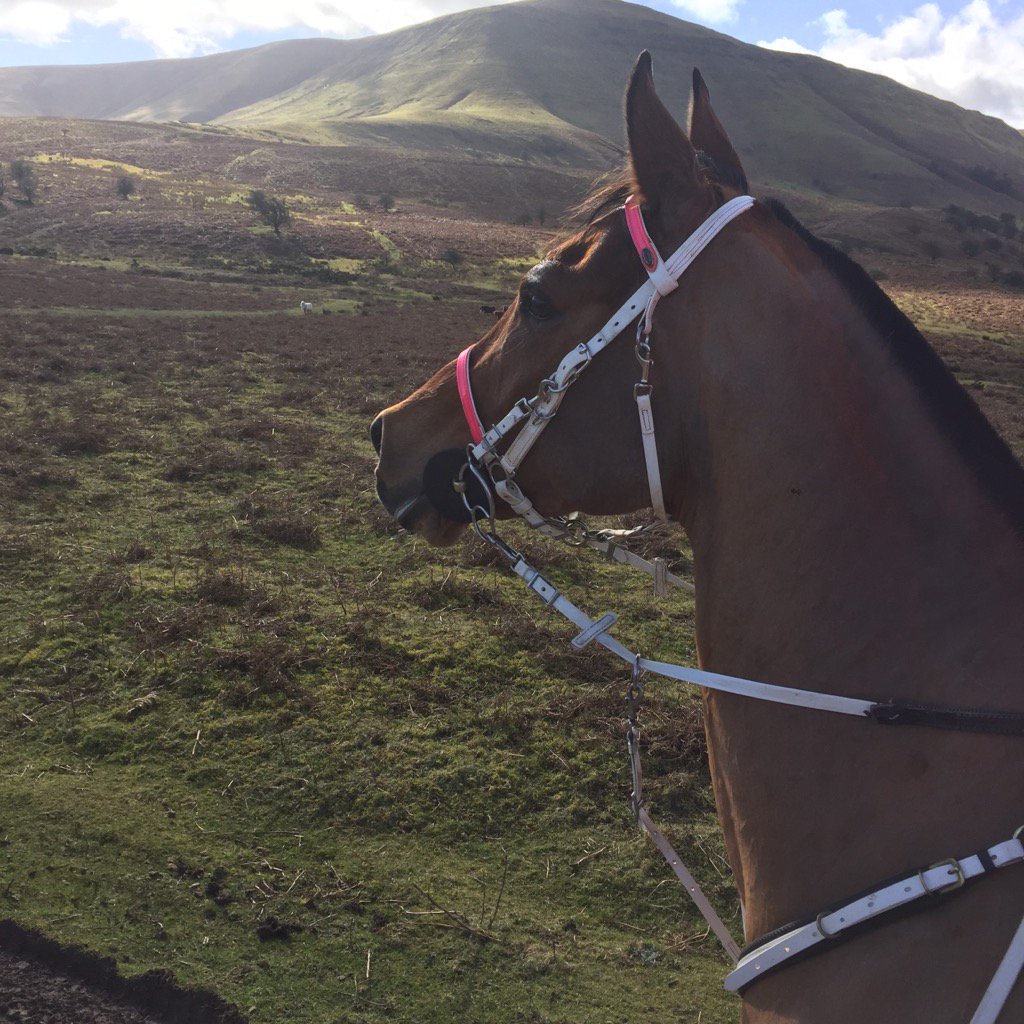 ShoulderGeek1's tweet photo. @GHirst01 now that is a pose 😉- awesome morning #goodtobebackinthesaddle https://t.co/t8cjeClicv