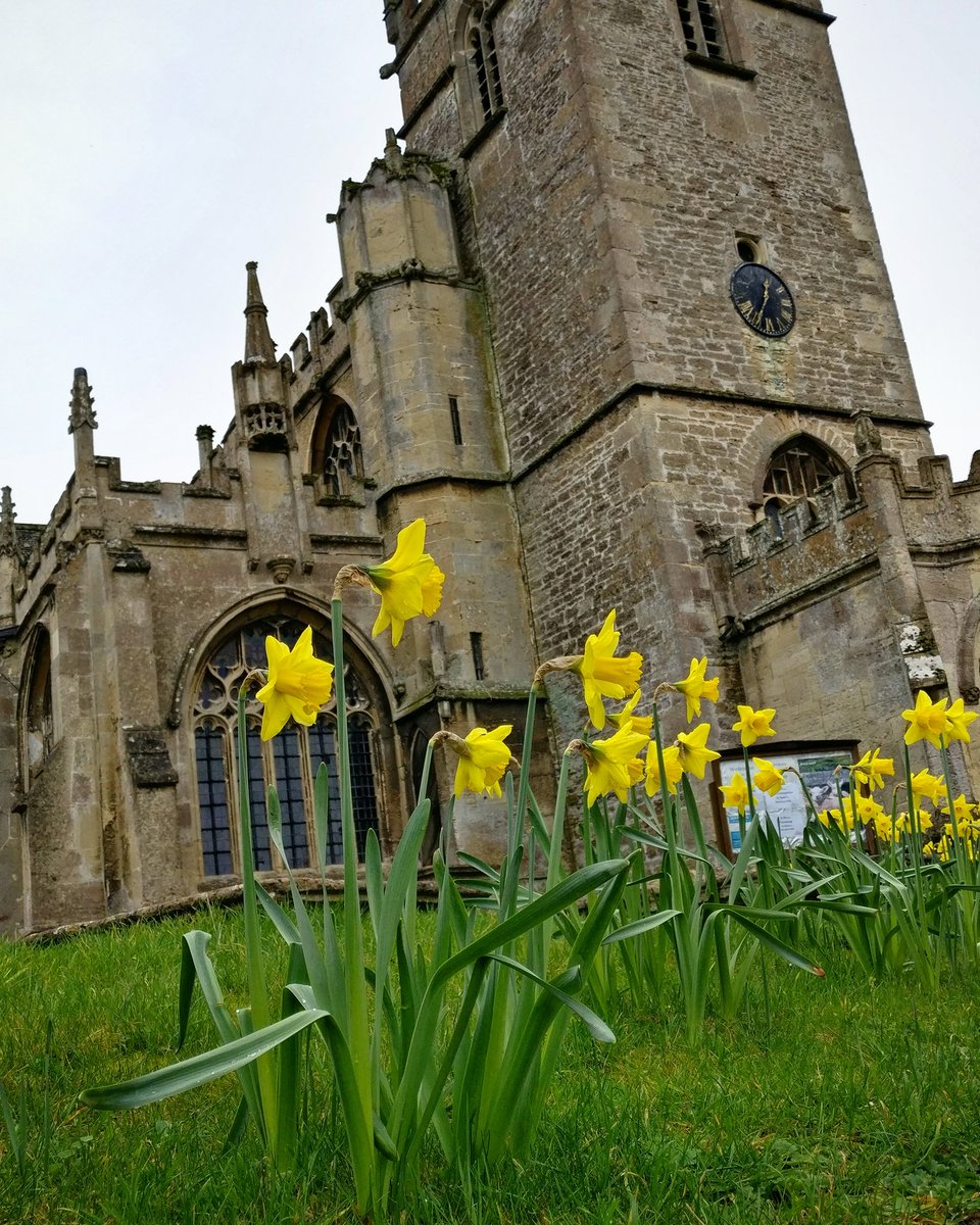 InBeyondBath's tweet photo. Daffodils in full bloom outside St Cyriac's Church in Lacock.  Who was St. Cyriac? #visitwiltshire #Lacock #daffodils #church #visitbath https://t.co/QHaKGnxzZH