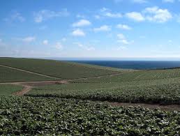 We're #3 in the USA goo.gl/QkDJ7D <a href="/WatsonvilleCity/">City of Watsonville</a> <a href="/CityofSantaCruz/">City of Santa Cruz</a> Great place to live and give! <a href="/CFSantaCruzCo/">CFSantaCruzCo</a> <a href="/FarmBureauSCruz/">Farm Bureau S Cruz</a>