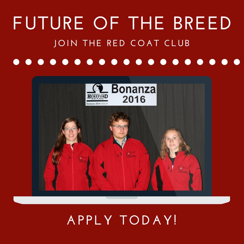 APPLY TODAY! #wearehereford #redcoatclub #cjha
All info can be found: hereford.ca/4_juniorForms/… 
<a href="/CAN_Hereford/">Canadian Hereford</a>