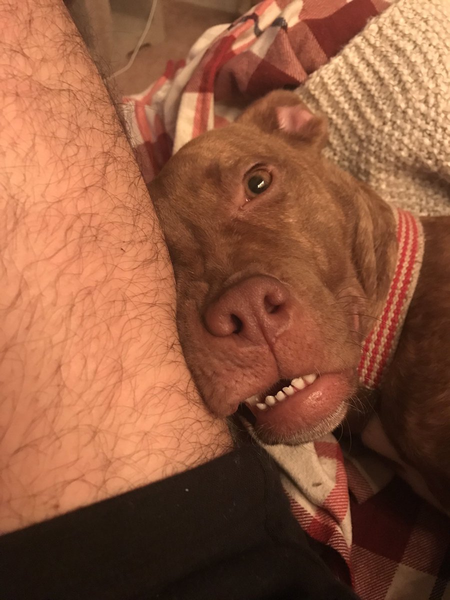 JeremiahTorrez's tweet photo. Thursday is our Monday and that is a Monday face if I've ever seen it. https://t.co/ImMUMzpVja