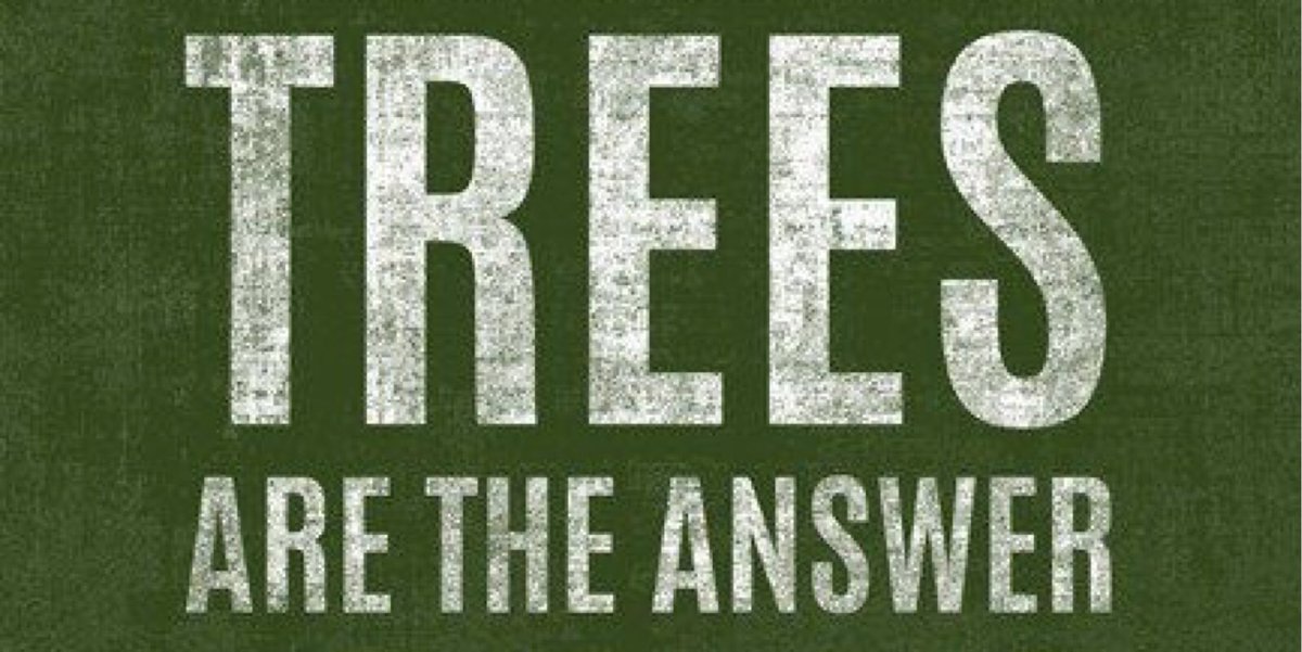 ArboRisk's tweet photo. It doesn't matter what the question is! #treesaretheanswer #treequotes #treeservice #arboristlife #ArboRisk #controlyourrisk https://t.co/K38edRhBPp