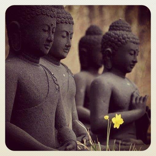 mypanicdisorder's tweet image. Pls #RT or share
#anxiety #panicattack