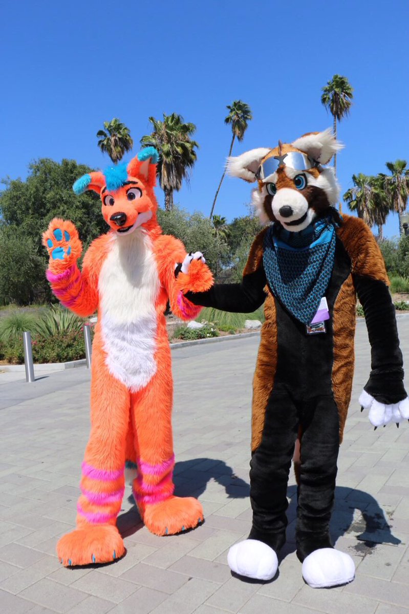 AviFox's tweet photo. I found a cute panda to foppl around with ^_^
#ThrowbackThursday
@bomberpanda2
@Califur #CF2016 https://t.co/SJtWUgHtXg