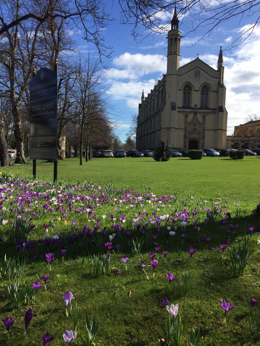 MHP Design tweet media