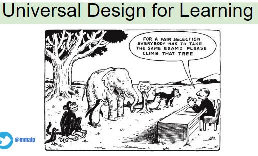 TechTeachVB's tweet photo. How do we ensure a range of options to accommodate a broad spectrum of learners? Everybody climb a tree! #optionsforsuccess https://t.co/EMtr2SjwLI