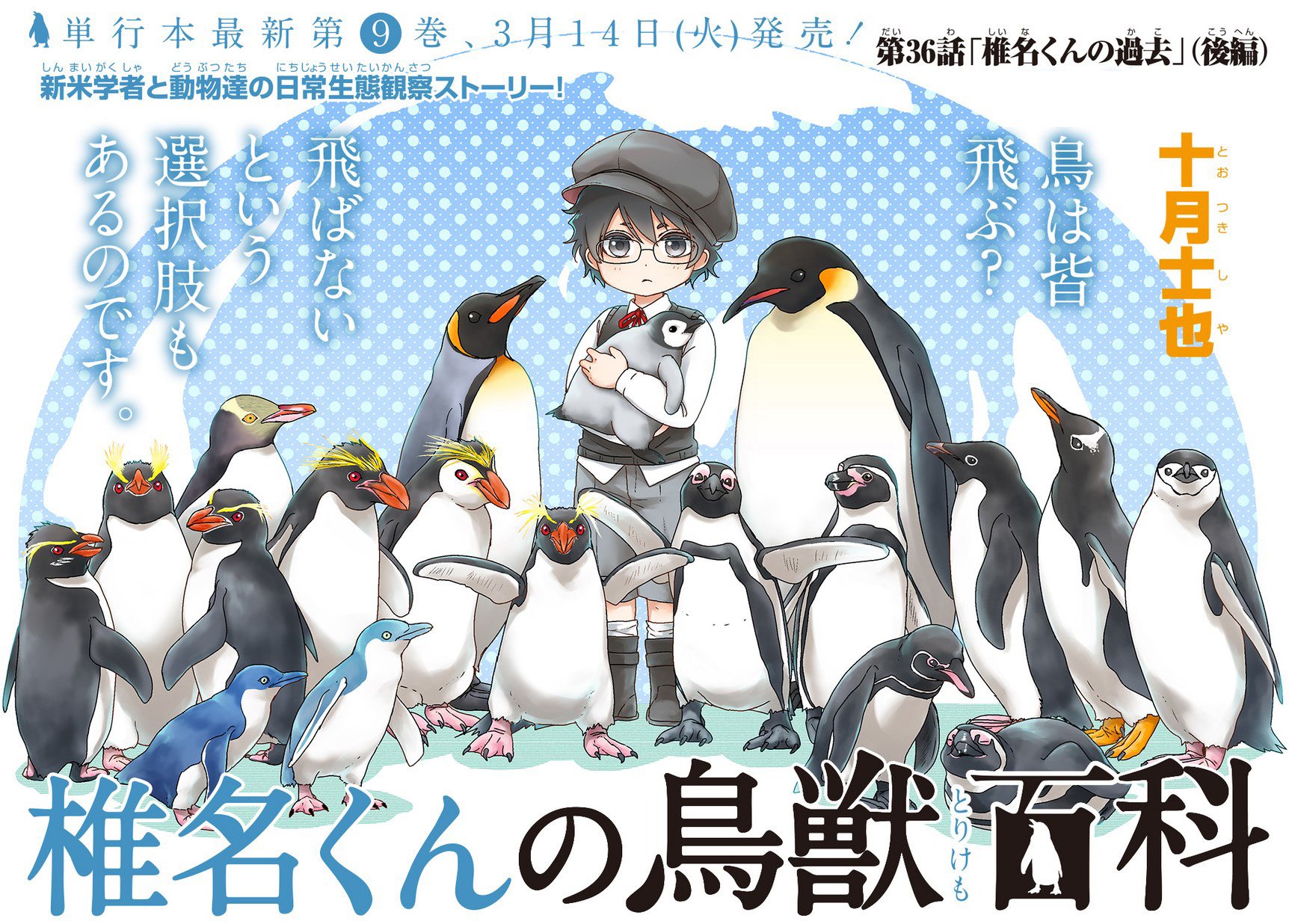 O Xrhsths マグコミ マッグガーデン Sto Twitter 3 10更新 椎名くんの鳥獣百科 十月士也 第36話 後 椎名くんの過去 それは椎名が中学生の頃 花や南 大学生時代の知られざる模様が今 T Co 8s7v0yczpv