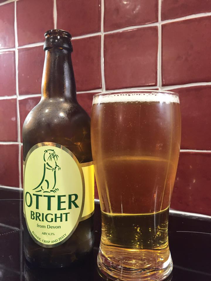 Retweet if you have ever tried <a href="/otterbrewery/">Otter Brewery</a> Bright. #ManvsAle #beer