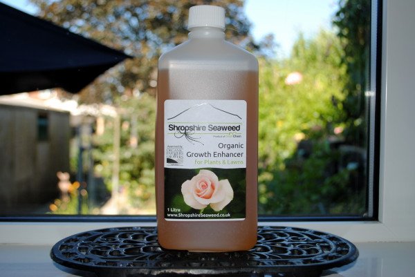 March Madness! One weekend left to bag our largest discount of the year. Save 15% on £30+ at ShropshireSeaweed.co.uk. Code: EARYBIRD17