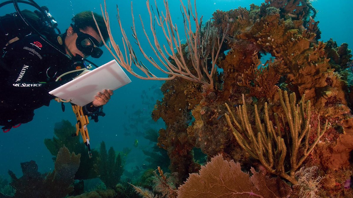 Celebrate the heroes and heroines who won at the #OceanAwards on page 45 of ShowBoats International, in association with @YCOYacht