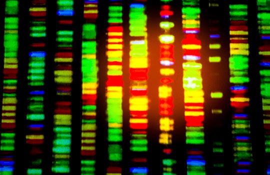 The BMJ (@bmj_latest) on Twitter photo "We could use more personalised medicine; but it doesn’t need much technology—the tool is talking" <a href="/mgtmccartney/">Margaret McCartney</a> bmj.com/content/356/bm… "We could use more personalised medicine; but it doesn’t need much technology—the tool is talking" <a href="/mgtmccartney/">Margaret McCartney</a> bmj.com/content/356/bm…