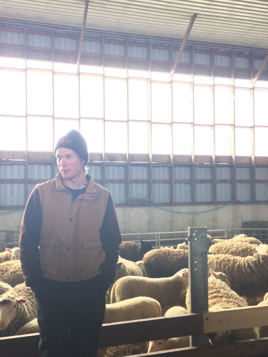 OAC Sheep&Goat Club tweet media