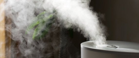BioveaPortugues's tweet photo. Do you have a humidifier? https://t.co/07r6QOxVcY