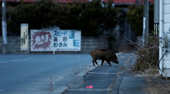 View image on Twitter