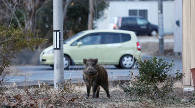 View image on Twitter