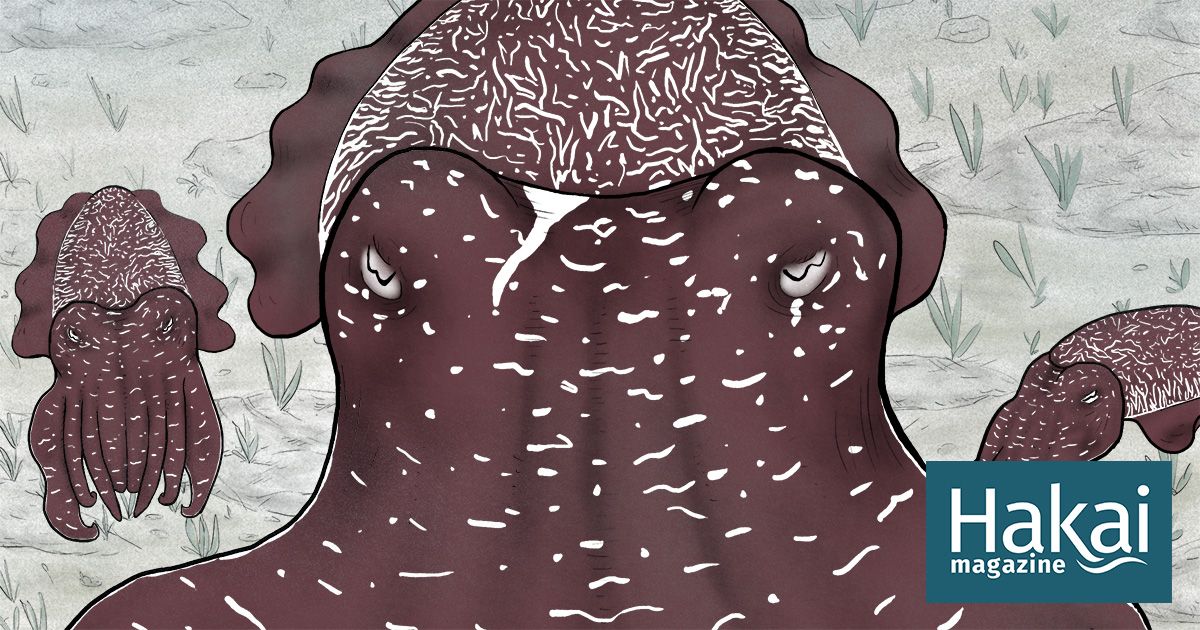 scubamarketing's tweet image. Really amusing way to explain #cuttlefish #matingbehavior! :D nsm.me/2lULkkH #cuttlefishmating