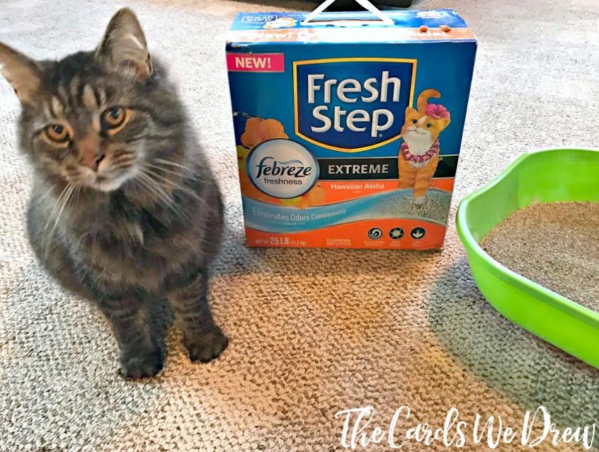 topnotchblog's tweet photo. A litter box that brings Hawaii to your home?! @thecardswedrew says it's true w/ @FreshStep & #FreshStepFebreze AD https://t.co/NitnplReac https://t.co/P0UdkXa3jQ