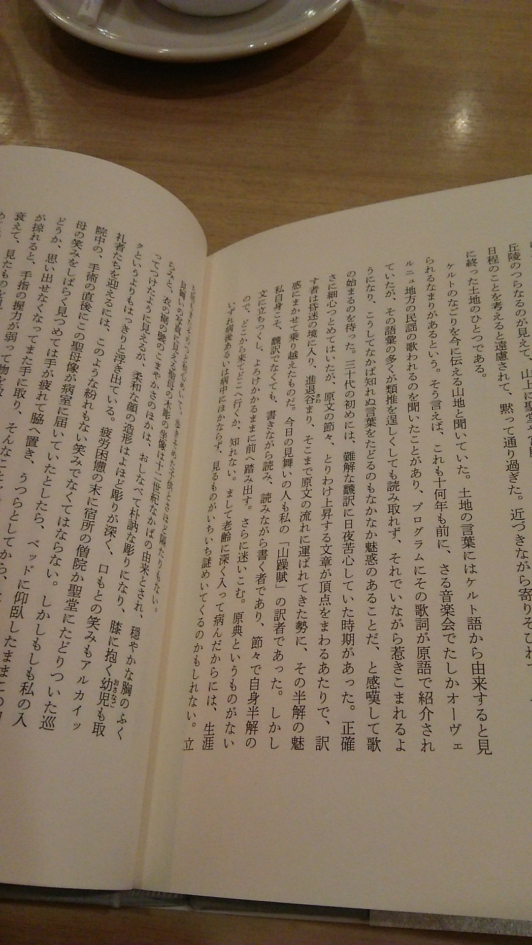 亀井麻美 古井由吉の 山躁賦 Chant Du Mont Fou を訳したのは Veronique Perrin ですね この人は 白髪の唄 Les Cheveux Blancs も仏訳しています 新刊 ゆらぐ玉の緒 所収 その日暮らし より T Co Guufxhpm3h Twitter
