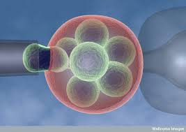 UCD Research Assistant Position Available "Using a biomarker of oocyte quality to improve embryo selection" goo.gl/eG4RF0