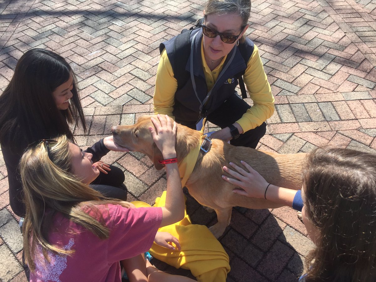 facethefive's tweet image. Don't you wanna love on this puppy?! Come to the Law plaza now!