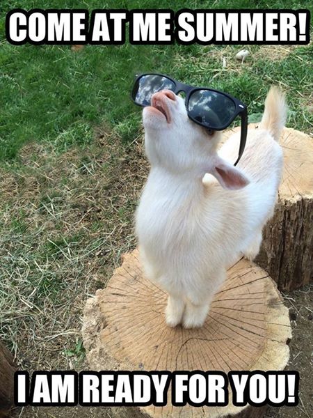 Wij zijn er klaar voor! Jij ook? :) #zomer