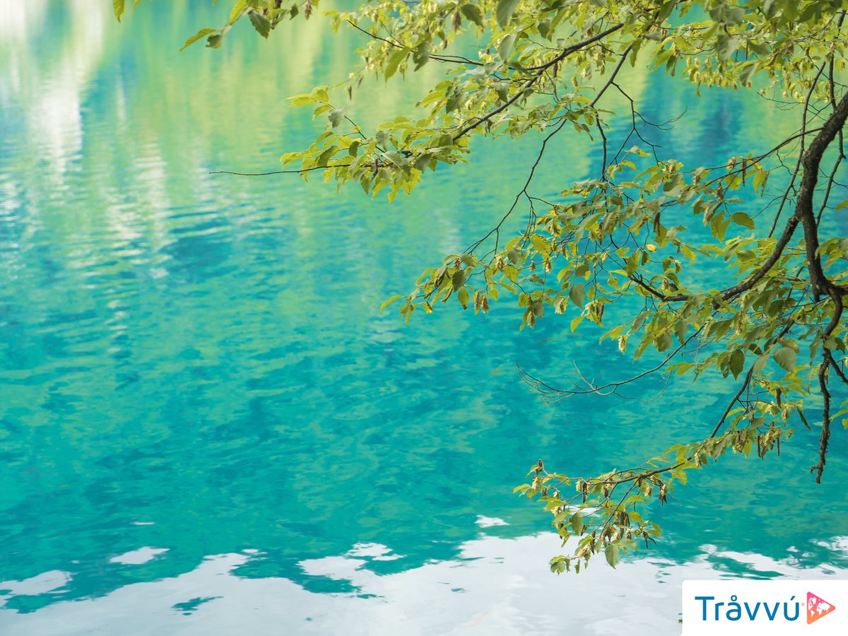 travvu's tweet photo. 🌿🐠 The dreamy National Park of Plitvice. #travvu #plitvicelakes #plitvice #croatia #zadar #zagreb #split #dubrovnik #adriatic #nature #lakes https://t.co/UiQf2c08JY