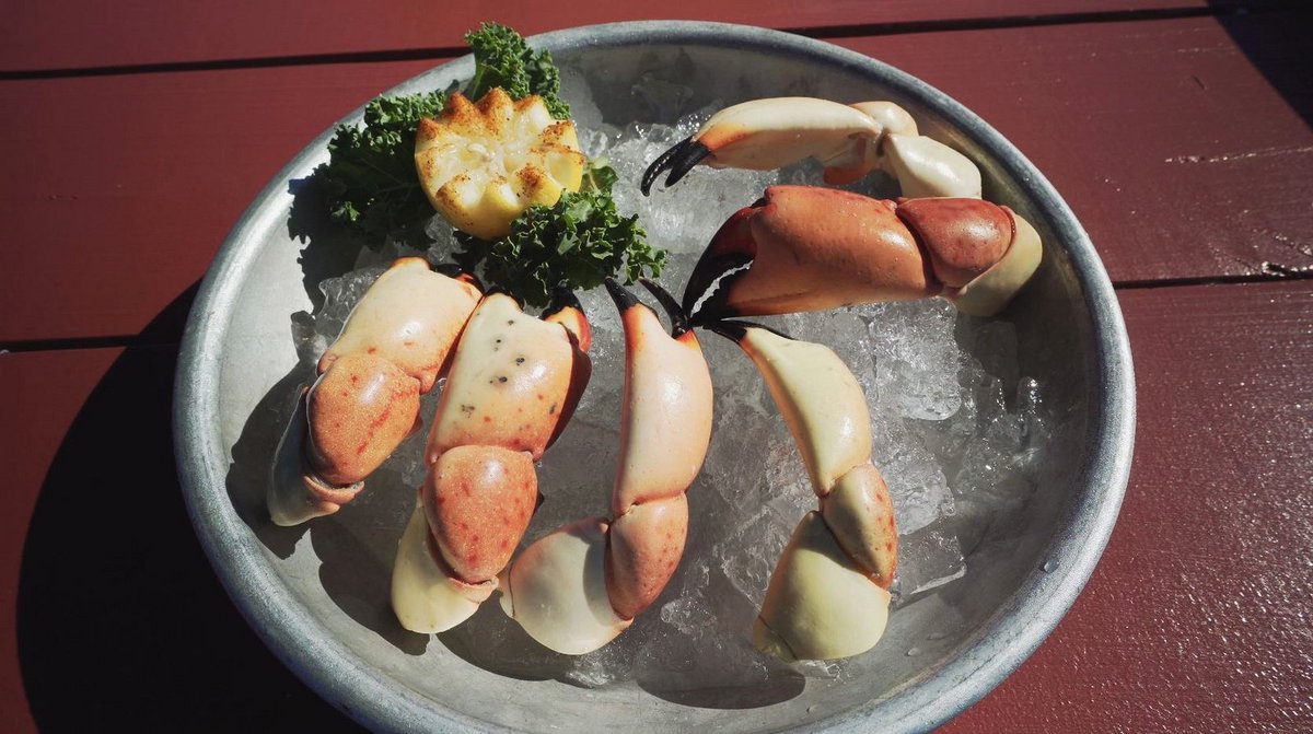 VISITFLORIDA's tweet photo. Pinch us, it's #NationalCrabMeatDay. What's your favorite kind crab? https://t.co/P3yjY4zMbY #LoveFL https://t.co/KBxLYywGIw
