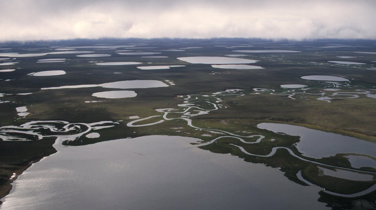 Anchorage Daily News tweet media