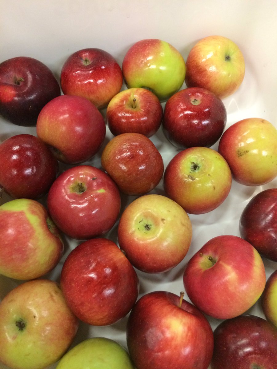 FitforLife_TDSB's tweet photo. 1, 2, 3 CRUNCH!!!
#thebigcrunch @Meadowvale_TDSB https://t.co/HpD5mplO5F