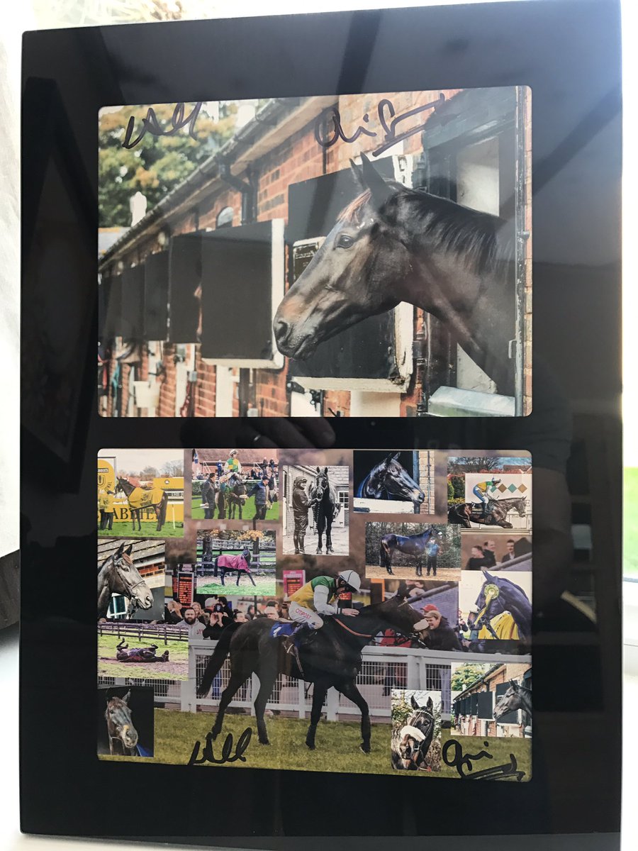 Auction for @LewisMoodyFdn - Signed @OliverSherwood Leighton Aspell #ManyClouds photograph - kindly donated by @mjyharris current bid £75