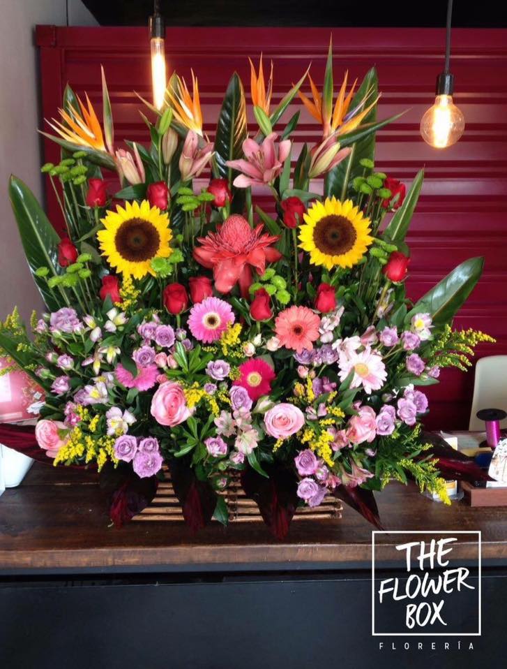 Flowerboxmid tweet picture