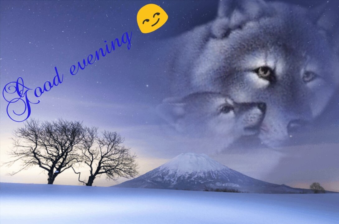 ManuelaSrk's tweet photo. https://t.co/VMPQOZ4ZsX