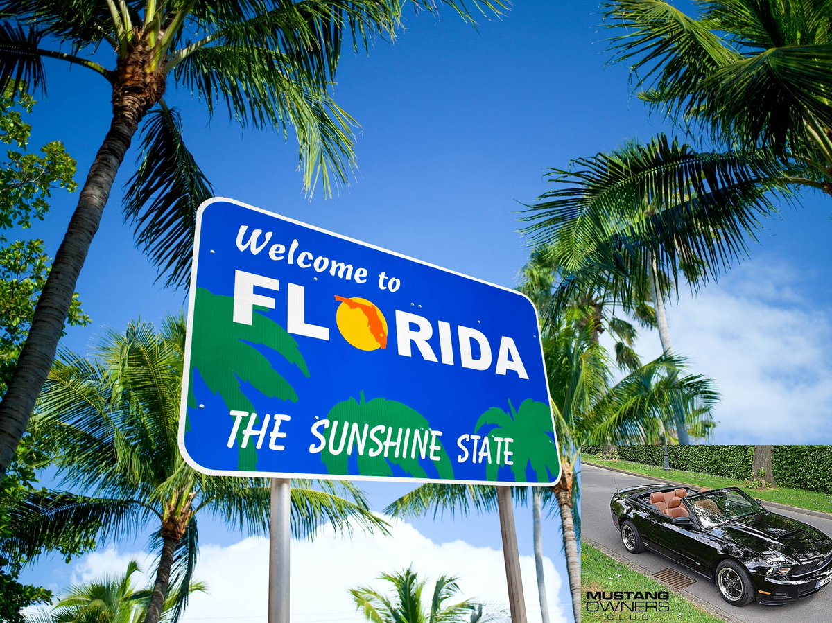 Mustang_Klaus's tweet photo. #Florida I'm comming in April @fordbecky @TORQARMYTRUCK  @SilverHorseUSA @Ford @fordesp @GasMonkeyGarage @RRRawlings @midwayfordmiami https://t.co/gsfwZ0h2WC