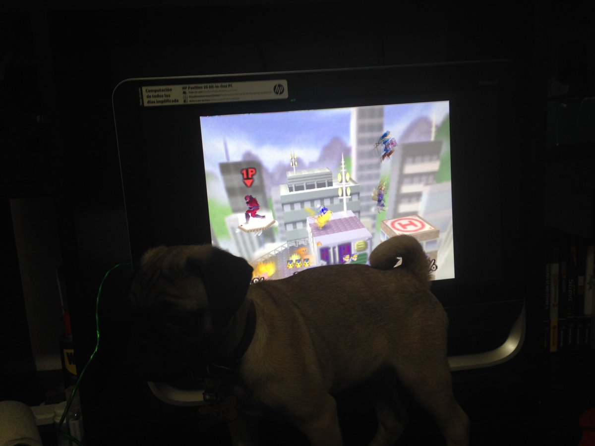 bjkaslu's tweet image. #nintendoswitch #NINTENDOSWITCHGRATIS the new smash real nintendogs #Nintendogs