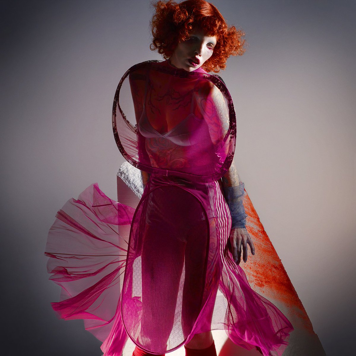 SHOWstudio tweet media