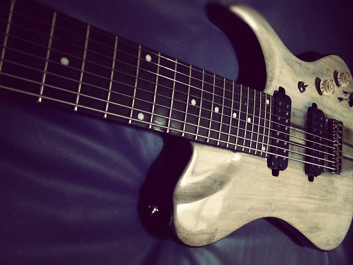 #woodmanguitar #woodmanguitars #8string #guitar #djentelmen #djentspace ready to rumble