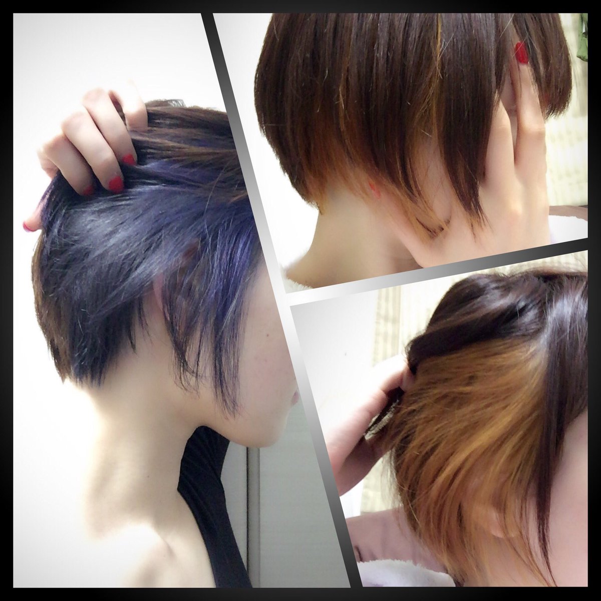 せきぐちあいみ Aimisekiguchi Na Twitteri 髪の内側の色を抜いて青入れた でも 外側の髪があるから こうやってべろんてしないと全然目立たない 3 もう眠気で意識が朦朧としててリプ返せずすみません W おやすみなさい せきぐちあいみ Aimisekiguchi Na Twitteri 髪の内側の色を抜いて青入れた でも 外側の髪があるから こうやってべろんてしないと全然目立たない 3 もう眠気で意識が朦朧としててリプ返せずすみません W おやすみなさい