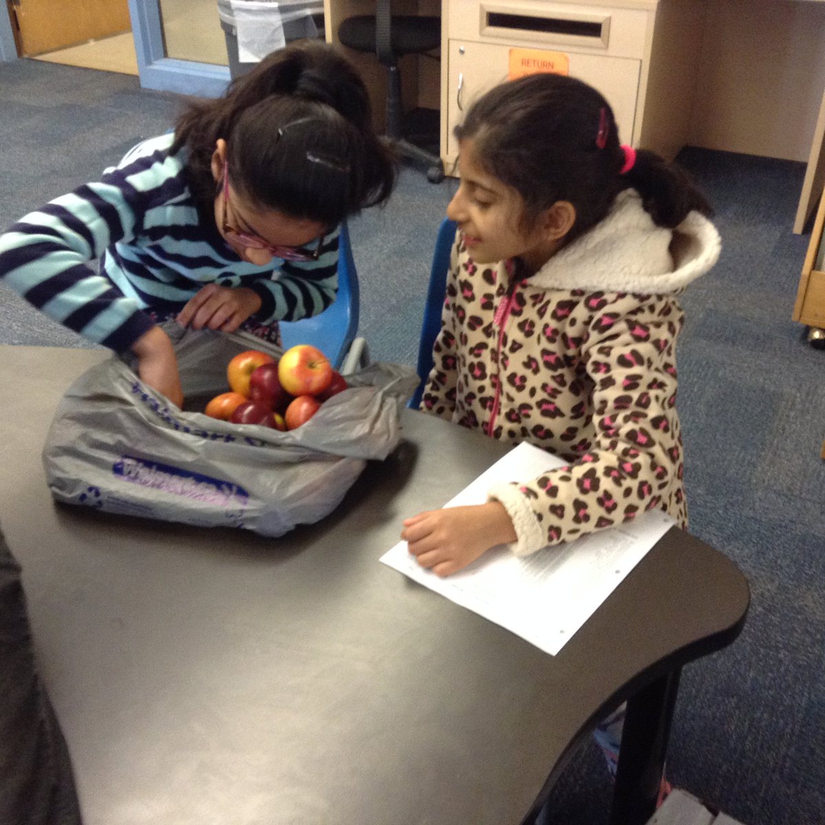 VediChoprasGr2's tweet photo. The Healthy Living Committee @ThornwoodPS is preparing for The Big Crunch by counting and delivering apples 🍎🍏🍎🍏🍎#thebigcrunch #FoodShareTO https://t.co/Z1sikTZoxU