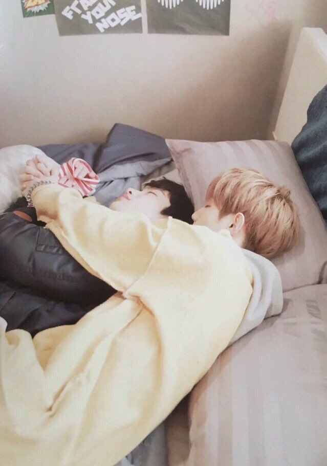 ♡안마이 (ᓀ‸ᓂ) tweet media