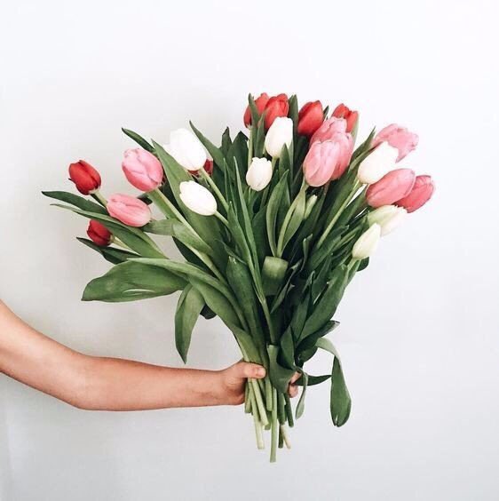 Alessacanalesc's tweet photo. Feliz día de la mujer a todas mis guapas !!!❤😍 https://t.co/hRMuh6YBxT