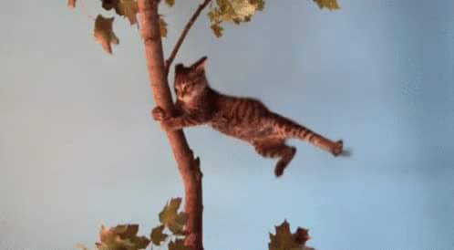 Darqflame's tweet photo. Stupid wind knocked out my internet!! What am I going to do? *jerks and twitches* I NEED it back!!! *pants* #myinternetisdown #thisucks https://t.co/oPhhHL1YVS