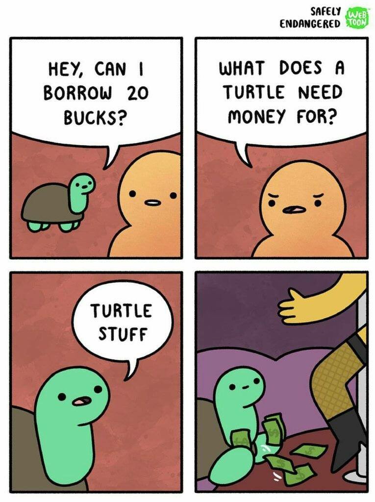 vettechER's tweet photo. #turtlestuff https://t.co/fVptJFUFKS